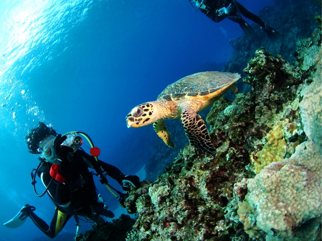 マリンスポーツ